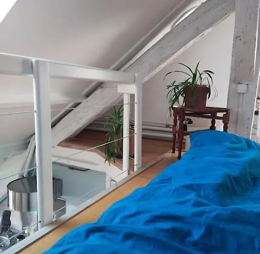 Studio Sous Les Toits Et Mezzanine - Vincennes