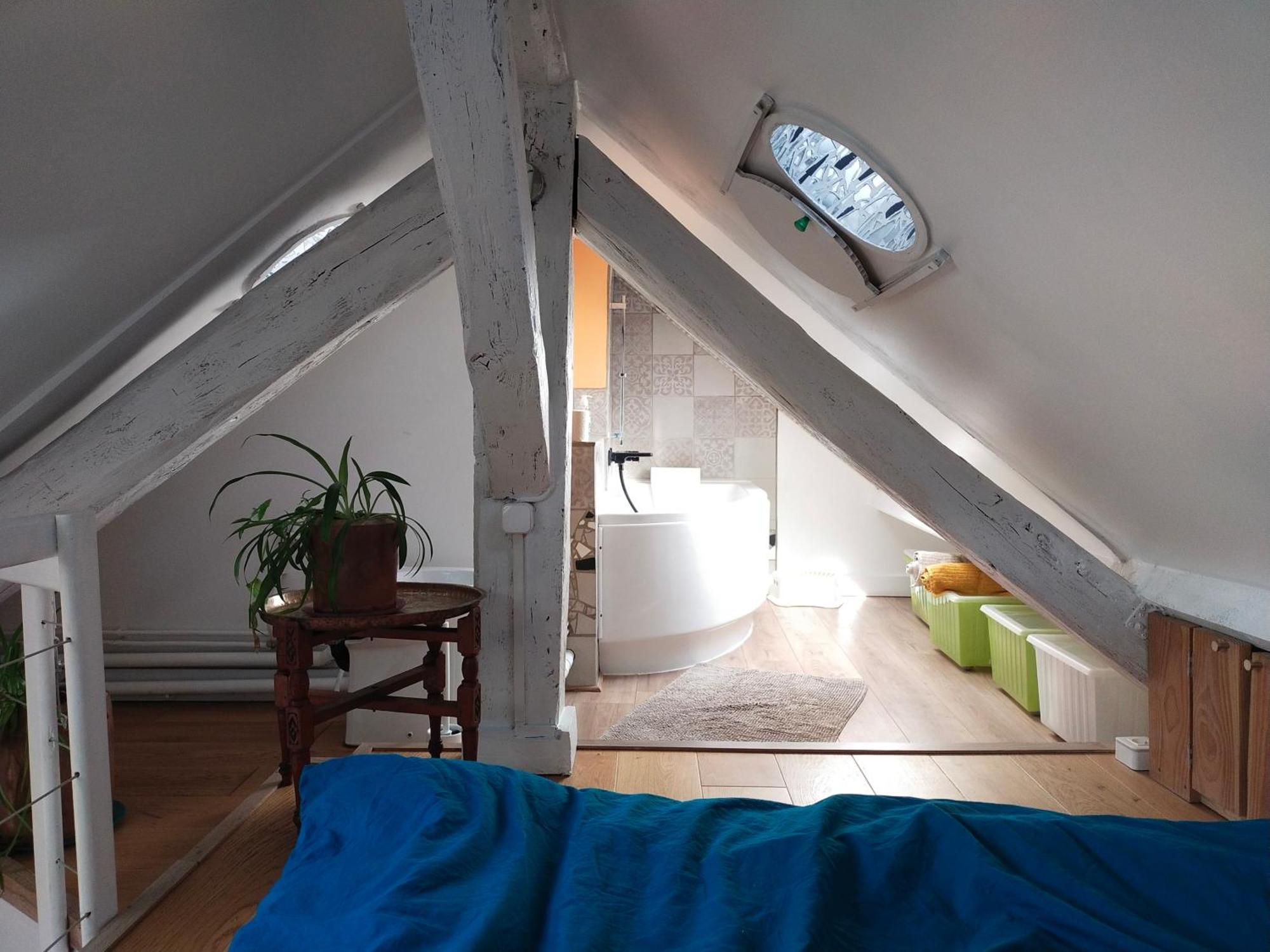 Sous Les Toits Et Mezzanine - Apartment Vincennes