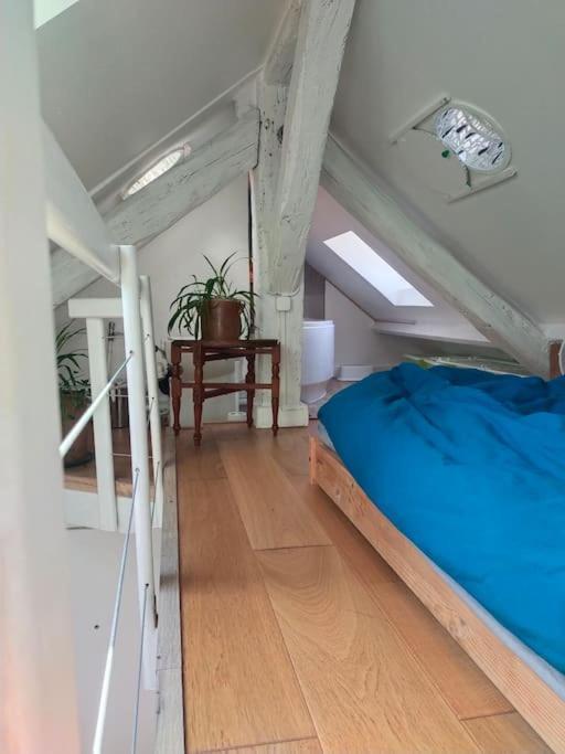 Apartment Sous Les Toits Et Mezzanine - Vincennes