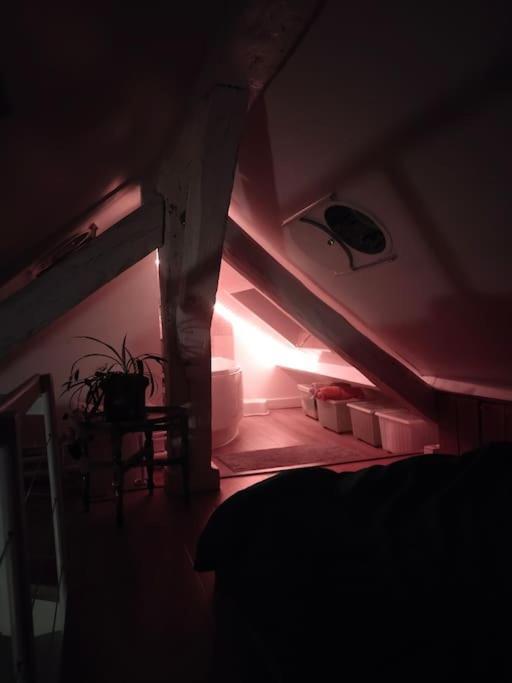 Apartment Sous Les Toits Et Mezzanine -